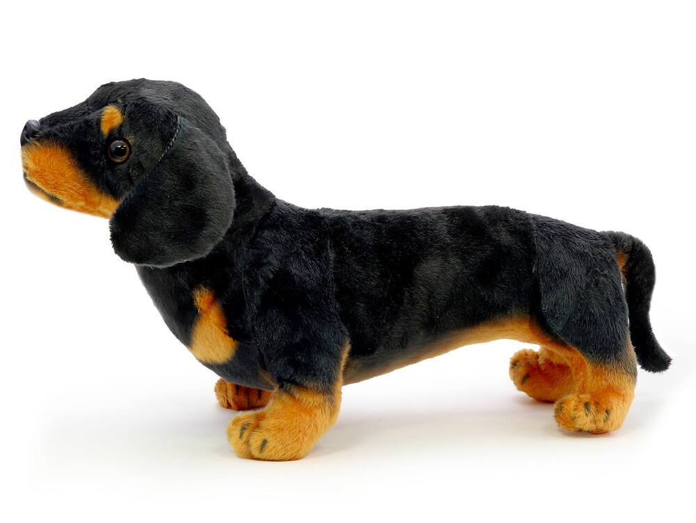 Plyšový pes jezevčík 45 cm + ocas 12 cm