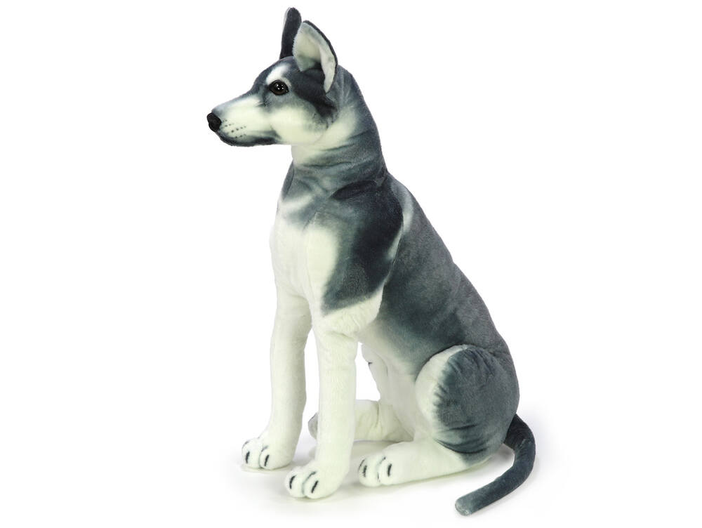 Plyšový pes husky sedící 90 cm + ocas 43 cm