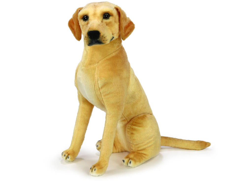 Plyšový pes labrador sedící 64 cm + ocas 20 cm